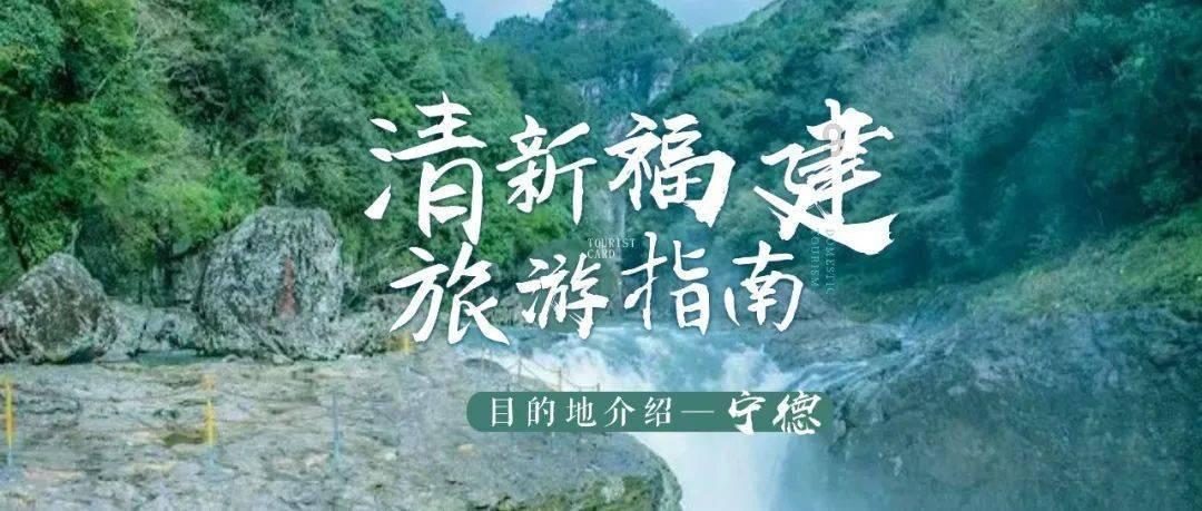 解惑天涯 -那演员的片酬究竟有多高
